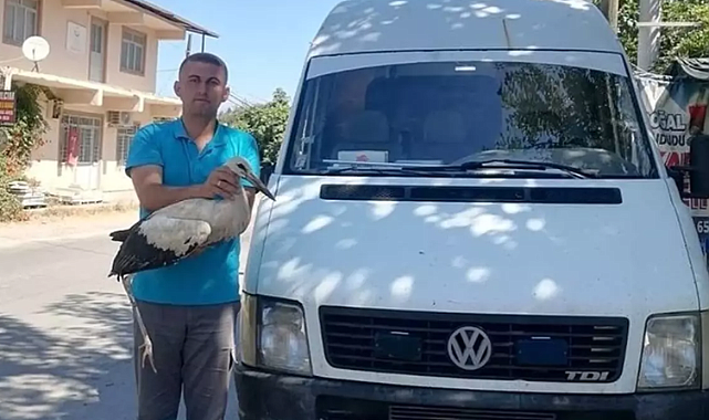 LEYLEK TEDAVİYE ALINDI
