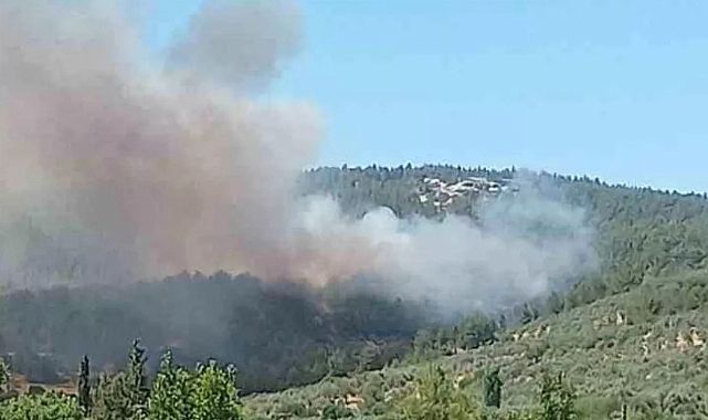MUĞLA'DA ORMANLIK ALANDA YANGIN