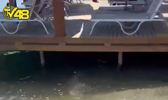TÜRKBÜKÜ’NDE DENİZ KİRLİLİĞİ TATİLCİLERİ MAĞDUR EDİYOR