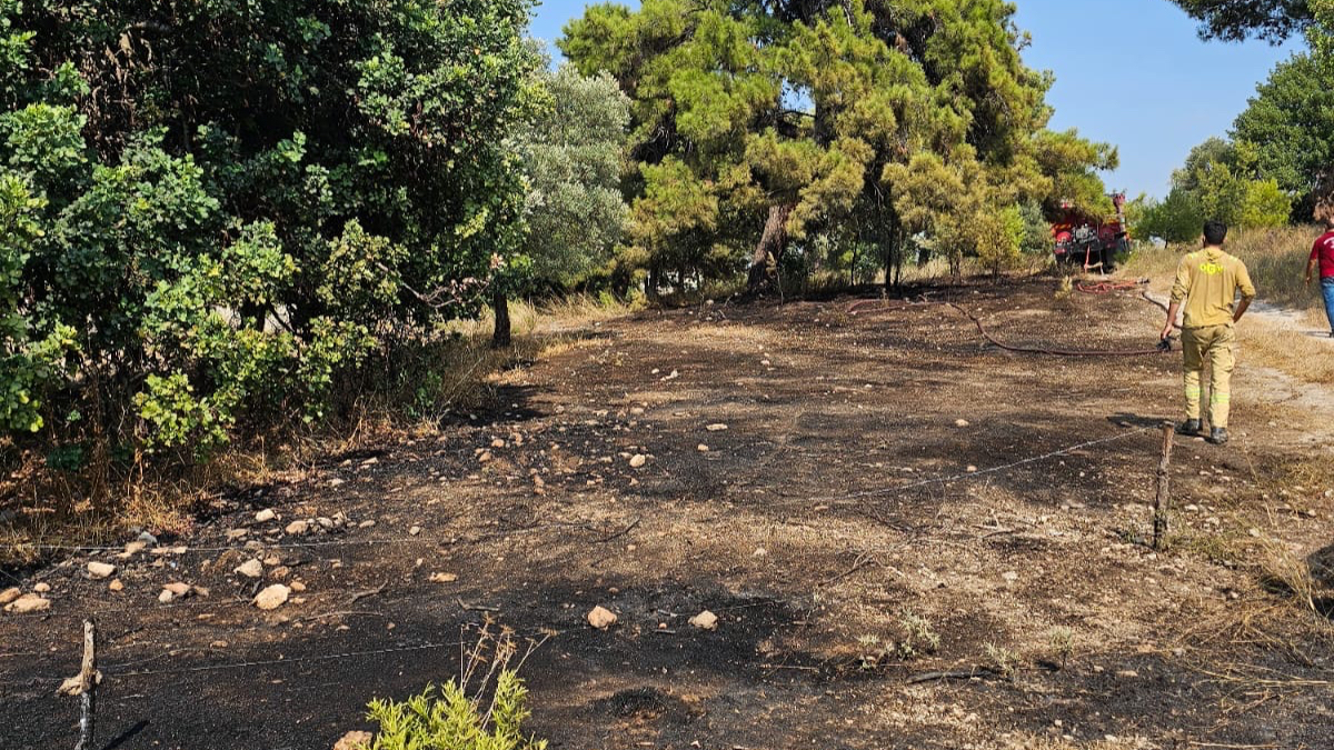 Milas'ta Orman Yangını