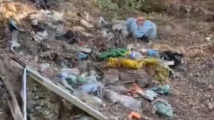“Akbük Yolunda Çevre Katliamı: Doğa Göz Göre Göre Kirleniyor”