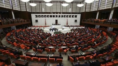 Vekile Kaymak Emekliye Kuru Ekmek