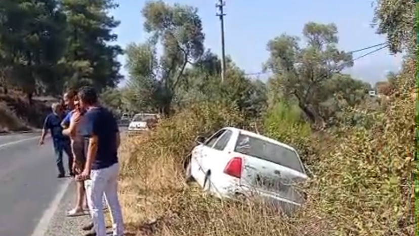 Milas’ta Köpek Kazaya Neden Oldu: Araç Şarampole Yan Yattı