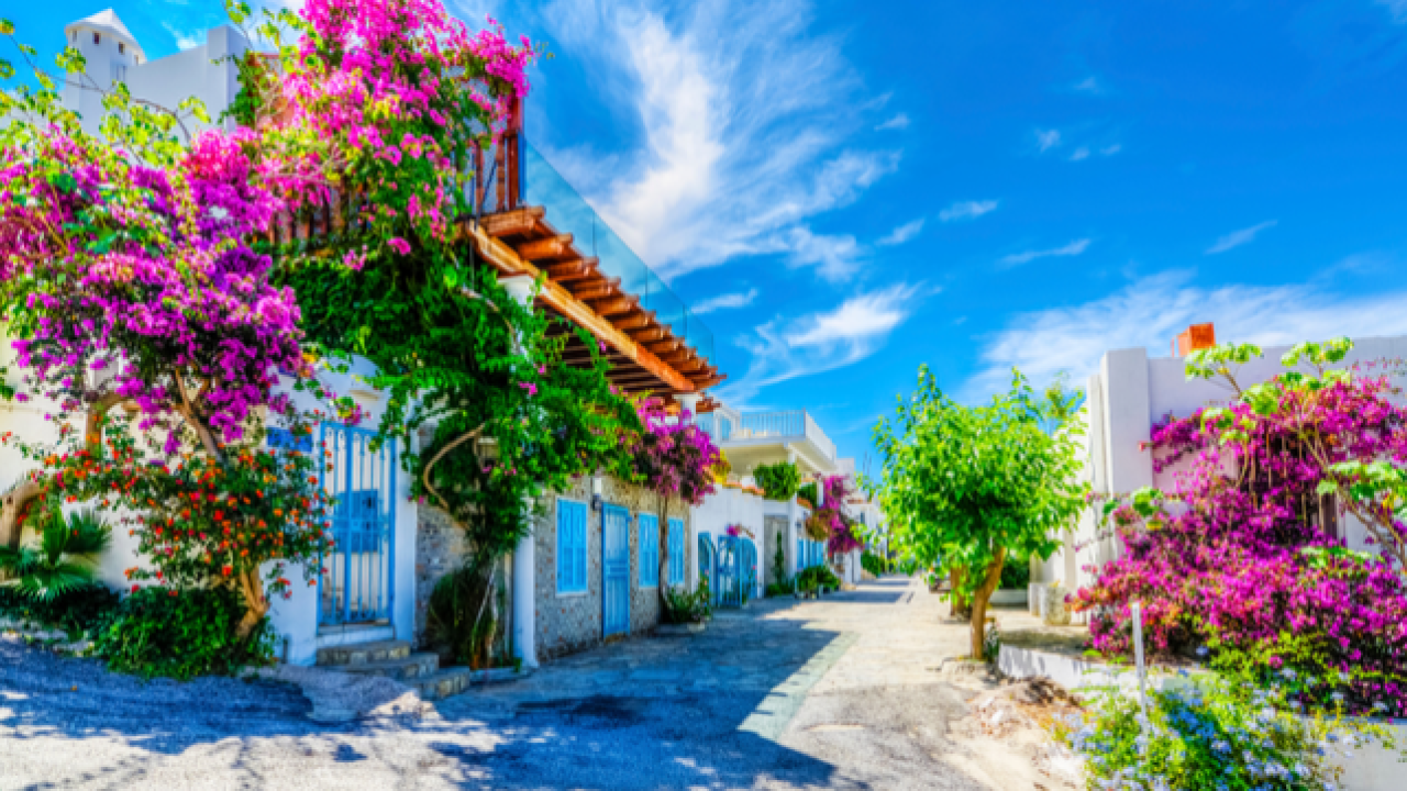 Muğla 2. Sırada! TÜİK, Türkiye’nin En Uzun Ömürlü İllerini Açıkladı