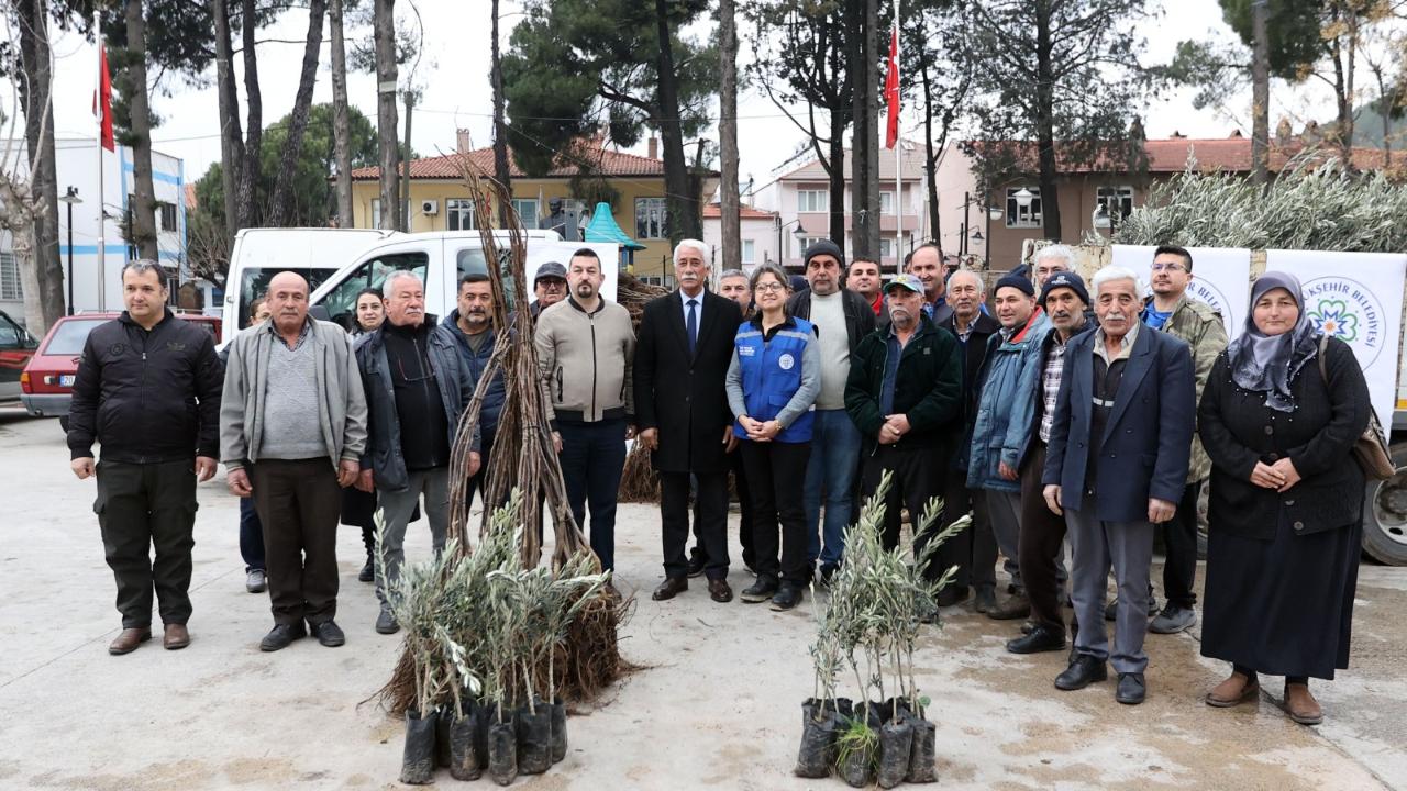 Büyükşehir’den Ula’da Üreticiye Zeytin ve Ceviz Fidanı Desteği