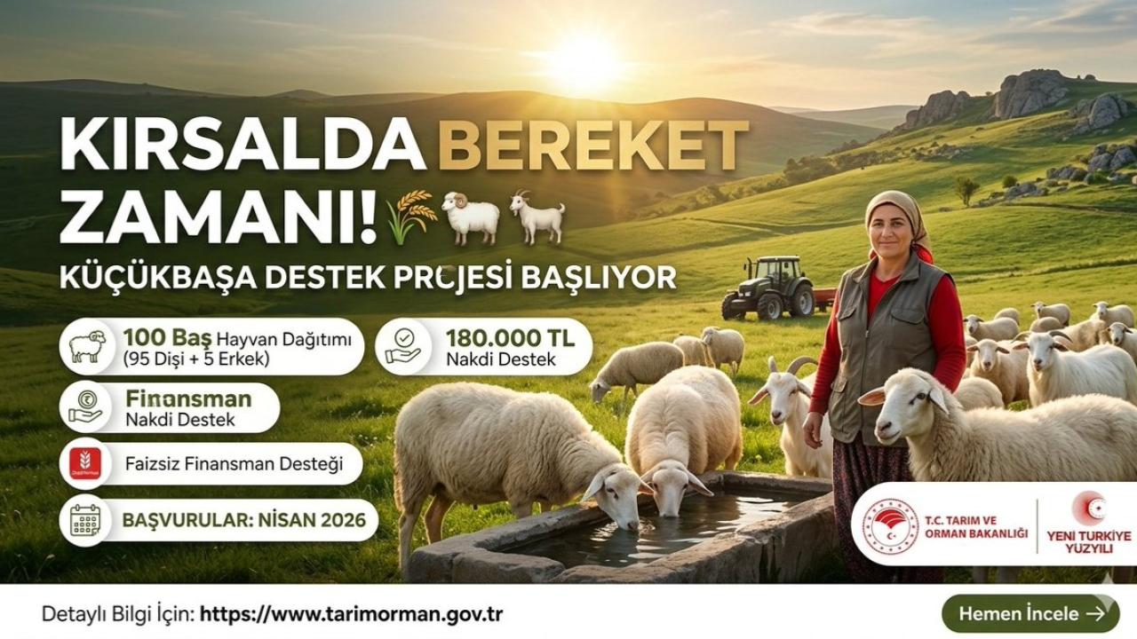 Küçükbaş hayvancılığa büyük destek