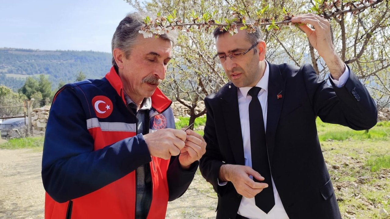 Uşak İl Tarım ve Orman Müdürlüğü ekipleri üreticiyle bir araya geldi