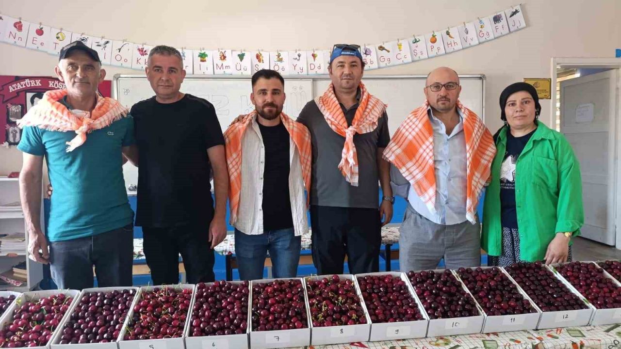 Binlerce insan Kiraz Festivali için Börez’e akın etti