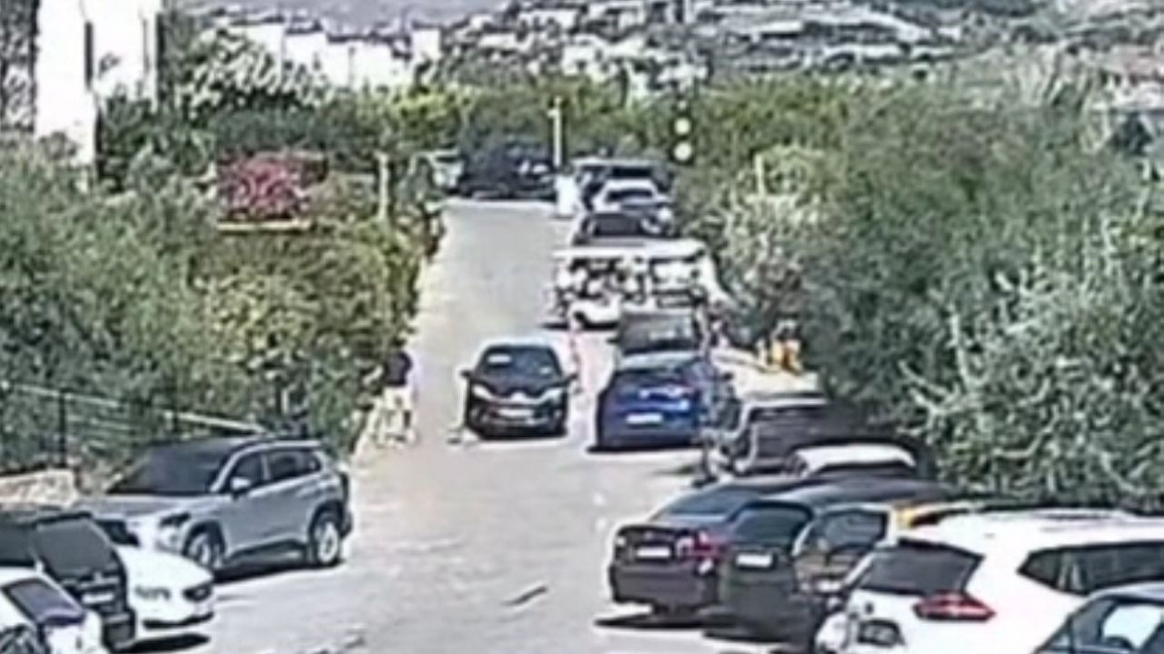 Bodrum’daki köpek davasında sanık beraat etti