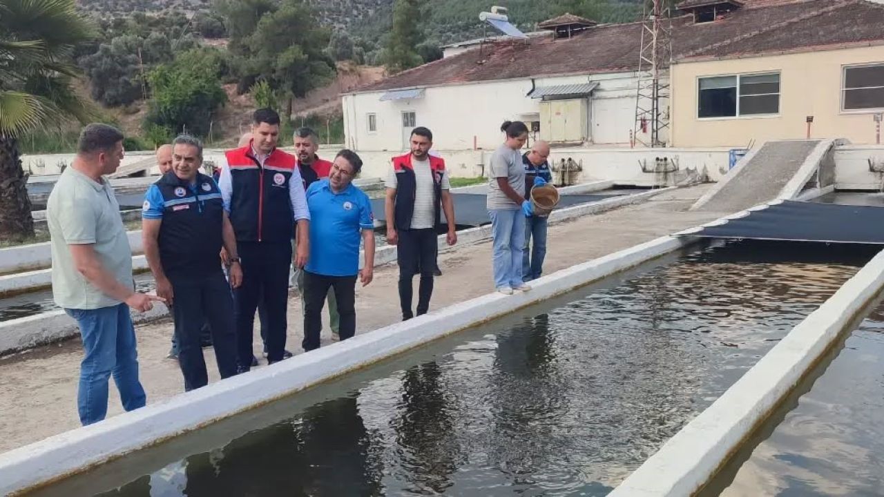 Bozdoğan’da su ürünleri üretimi 3 bin 696 tona ulaştı