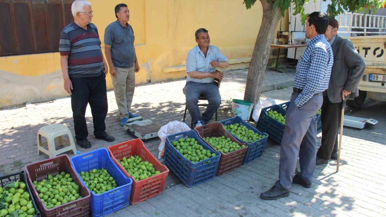 Bu pazarda meyve değil sinek satılıyor
