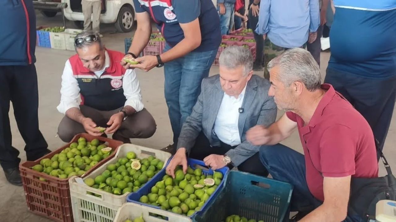 Buharkent’te ilekler, tezgahta incelendi