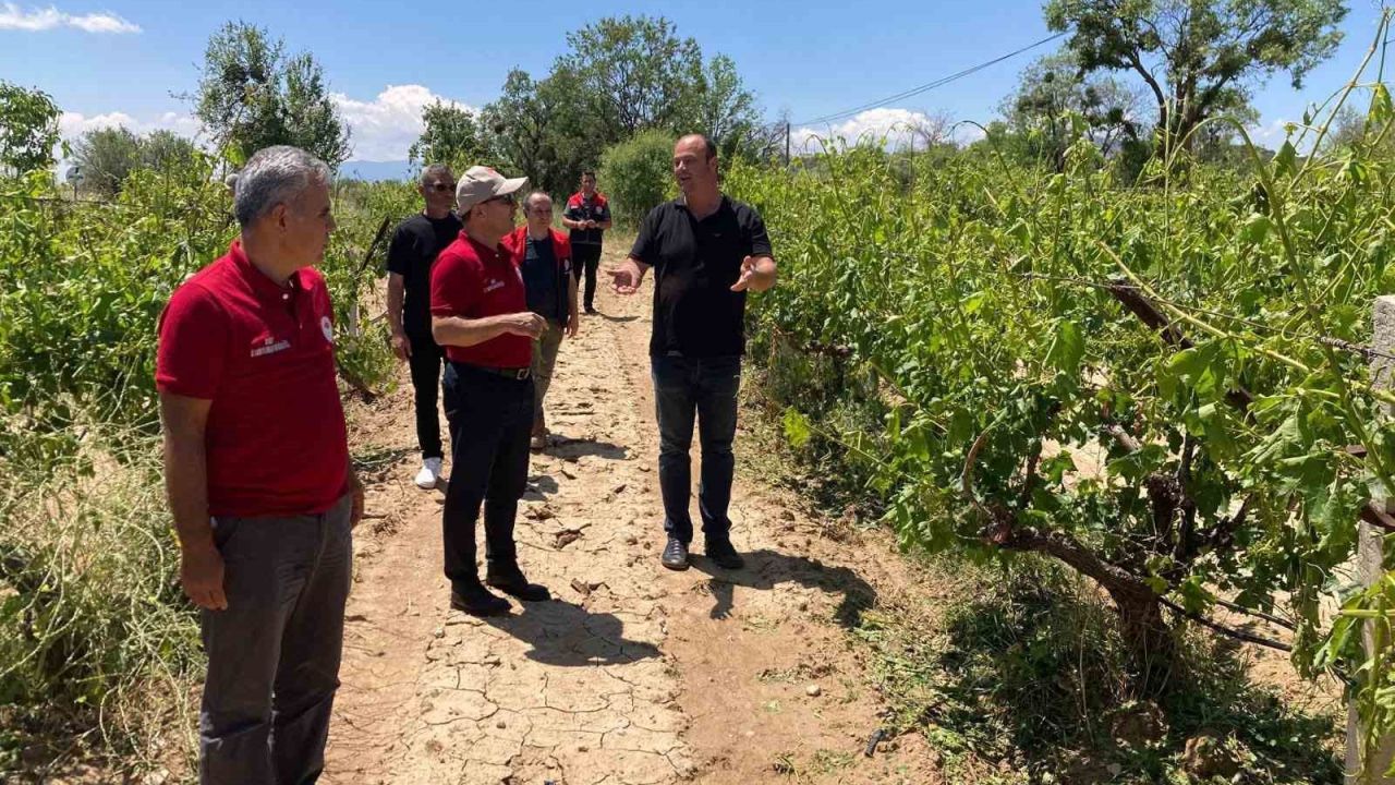 Çal’da dolu yağışı ürünlere zarar verdi
