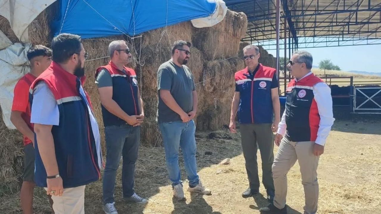 Çine’de üreticiye 30 baş etçi düve desteği