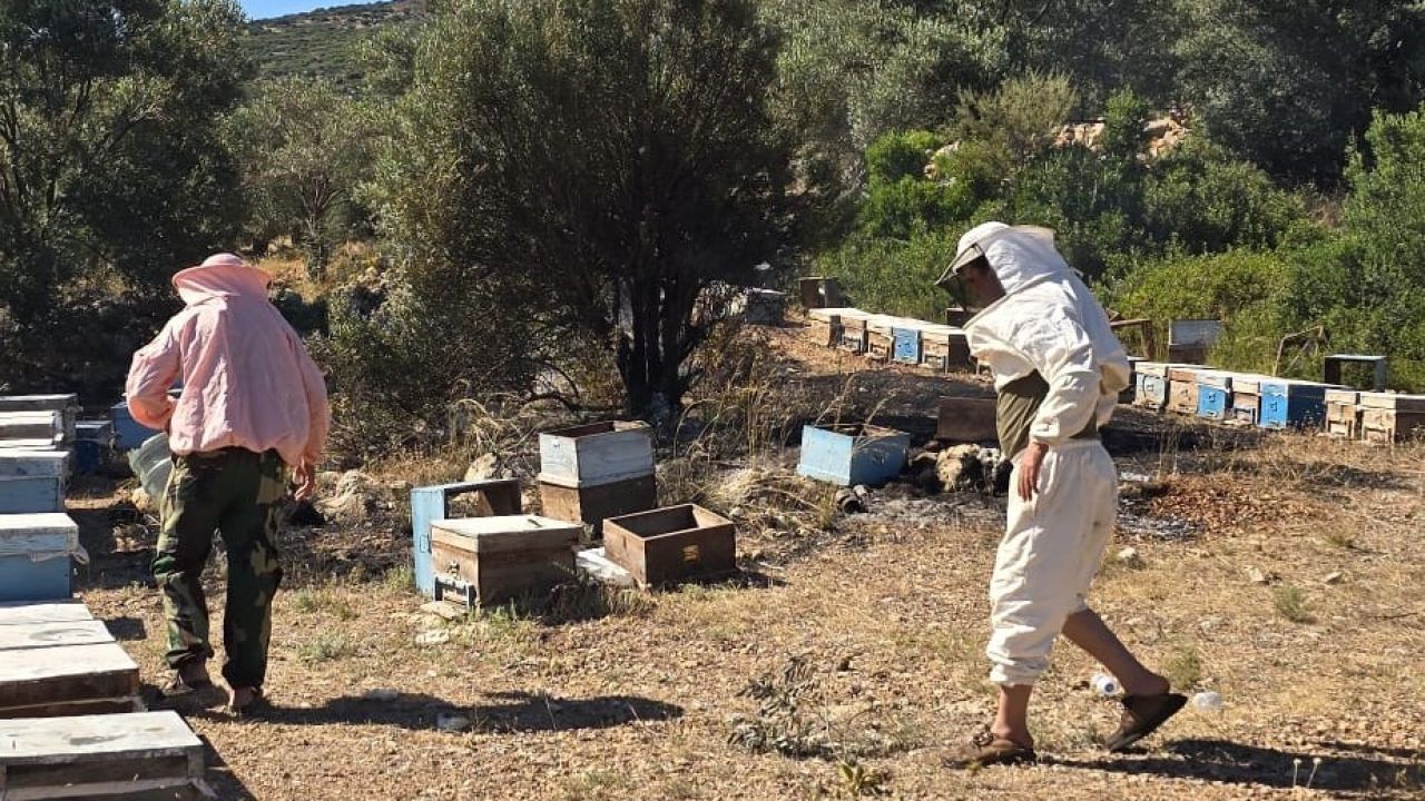 Datça’da çıkan yangın büyümeden söndürüldü
