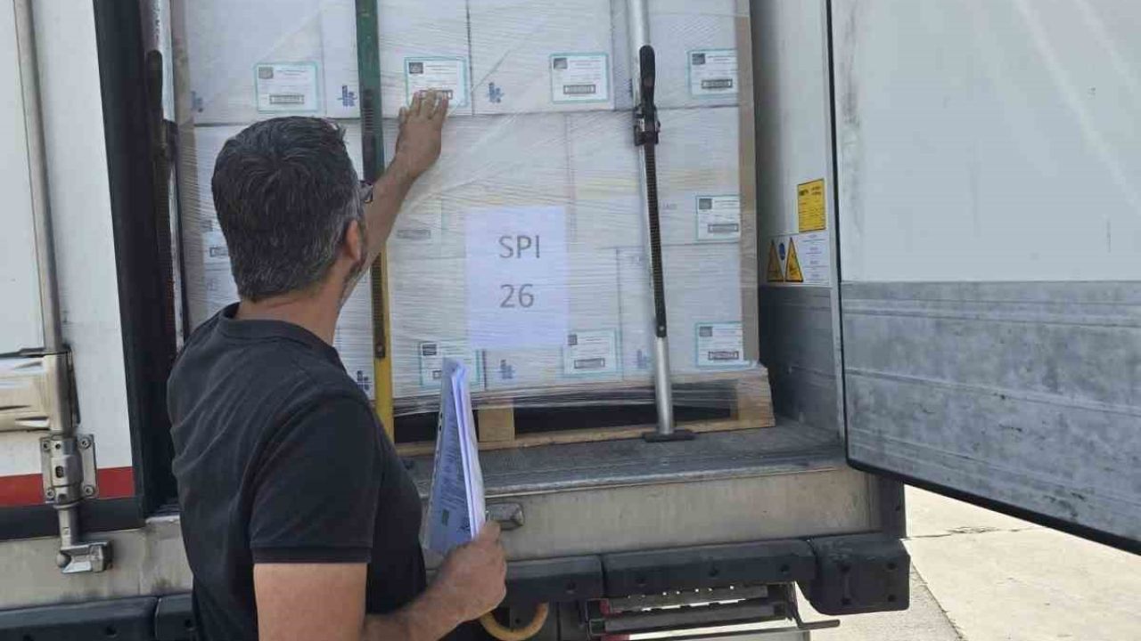 Didim’in balıkları, İngiltere yolcusu