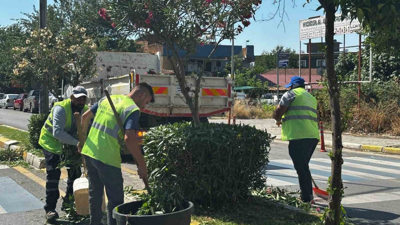 Efeler’de yeşil alanlar Büyükşehir ekipleriyle yenileniyor