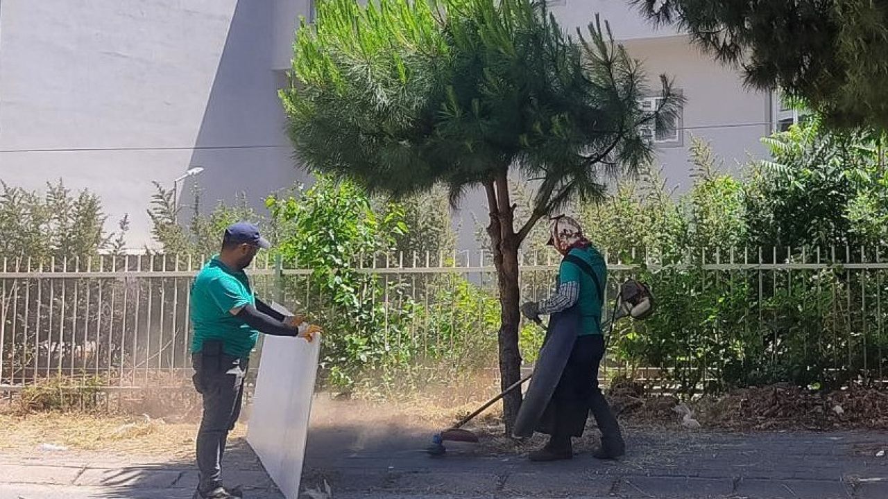 Efeler’in park ve yeşil alanlarında düzenleme çalışmaları sürüyor