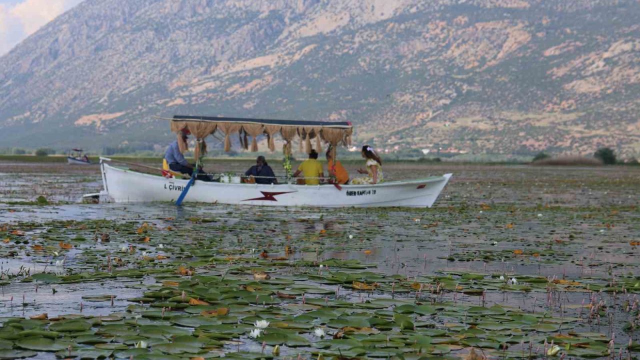 Geçen yıl kuraklık, bu yıl ise aşırı yağışlar nilüferlerin görsel şölenini geciktirdi