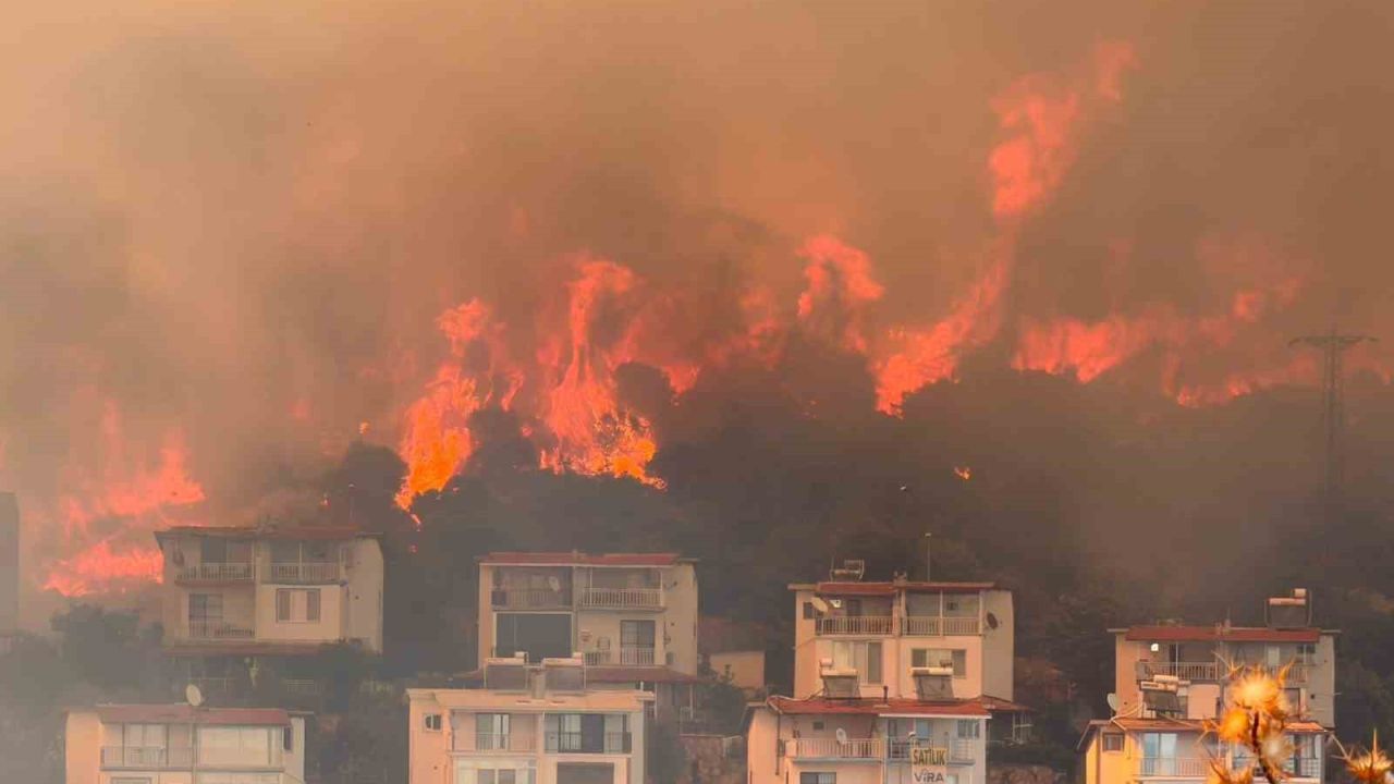 İzmir’de makilik alandaki yangın kontrol altında