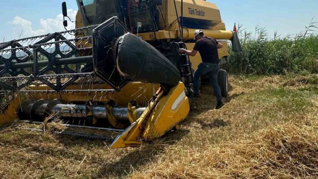 Köşk’te hububat hasadında dane kaybına karşı sıkı denetim