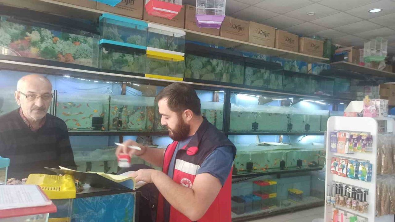 Kütahya’da ev hayvanı satış yerlerinde denetim