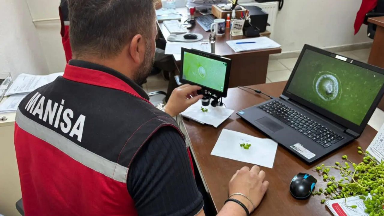 Manisa’da 102 istasyondan gelen verilerle üreticiye erken uyarı