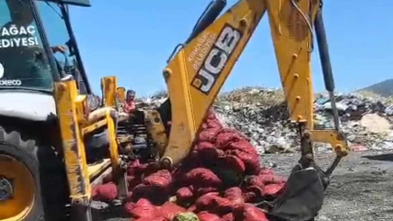 Manisa’da menşei belirsiz midyeler imha edildi