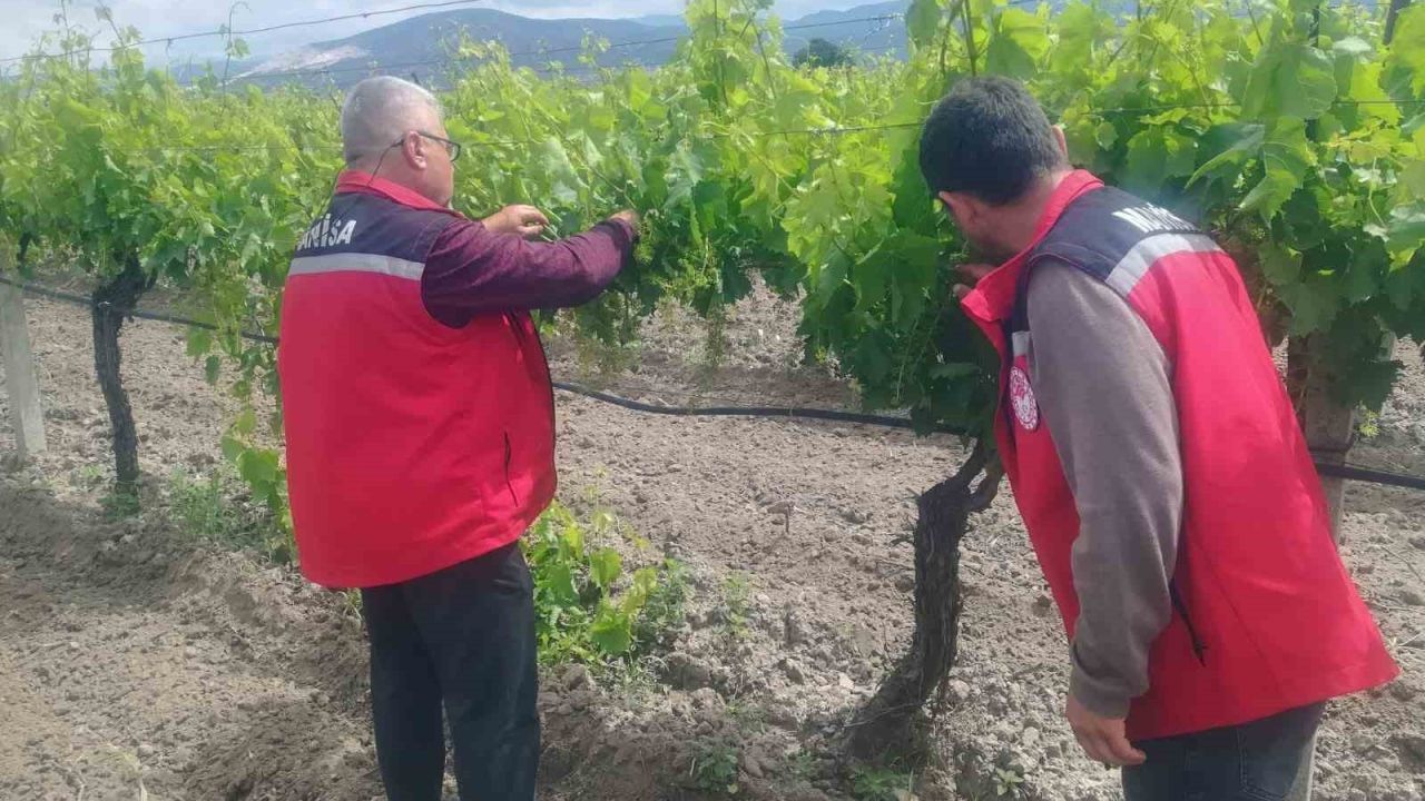 Manisa’da tarım denetimleri hız kesmiyor