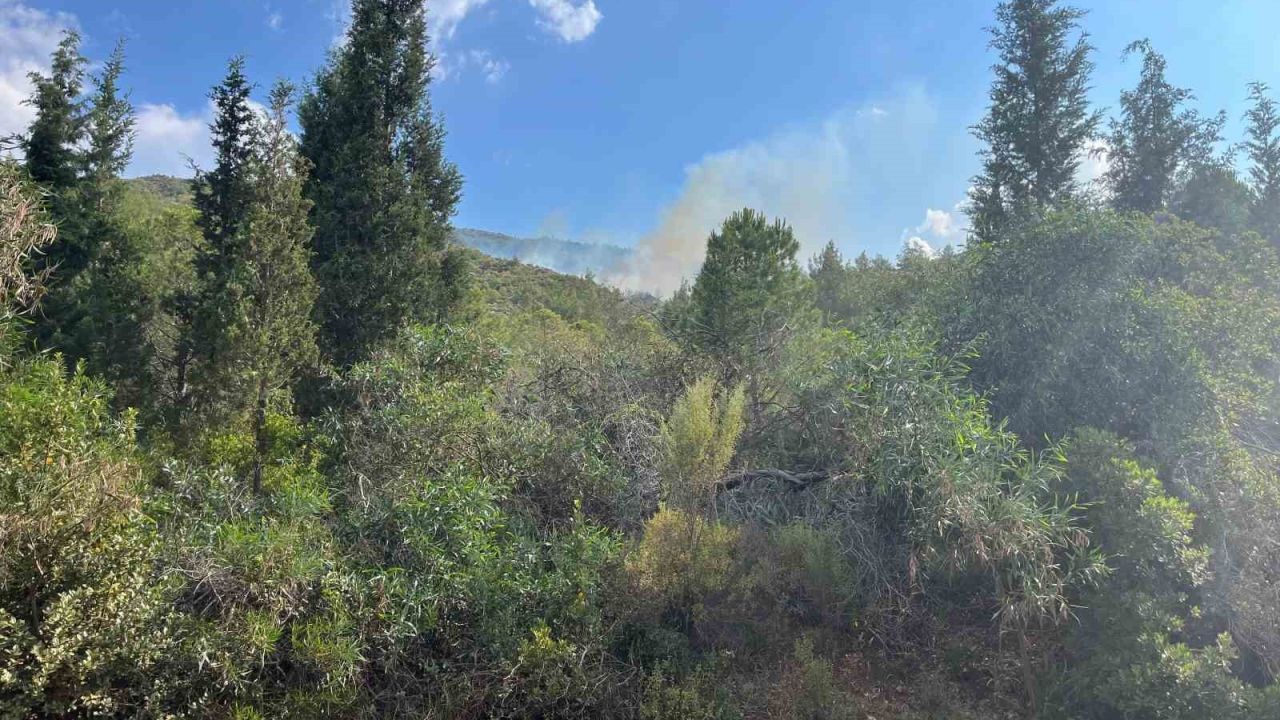 Marmaris’te yıldırım kaynaklı orman yangını