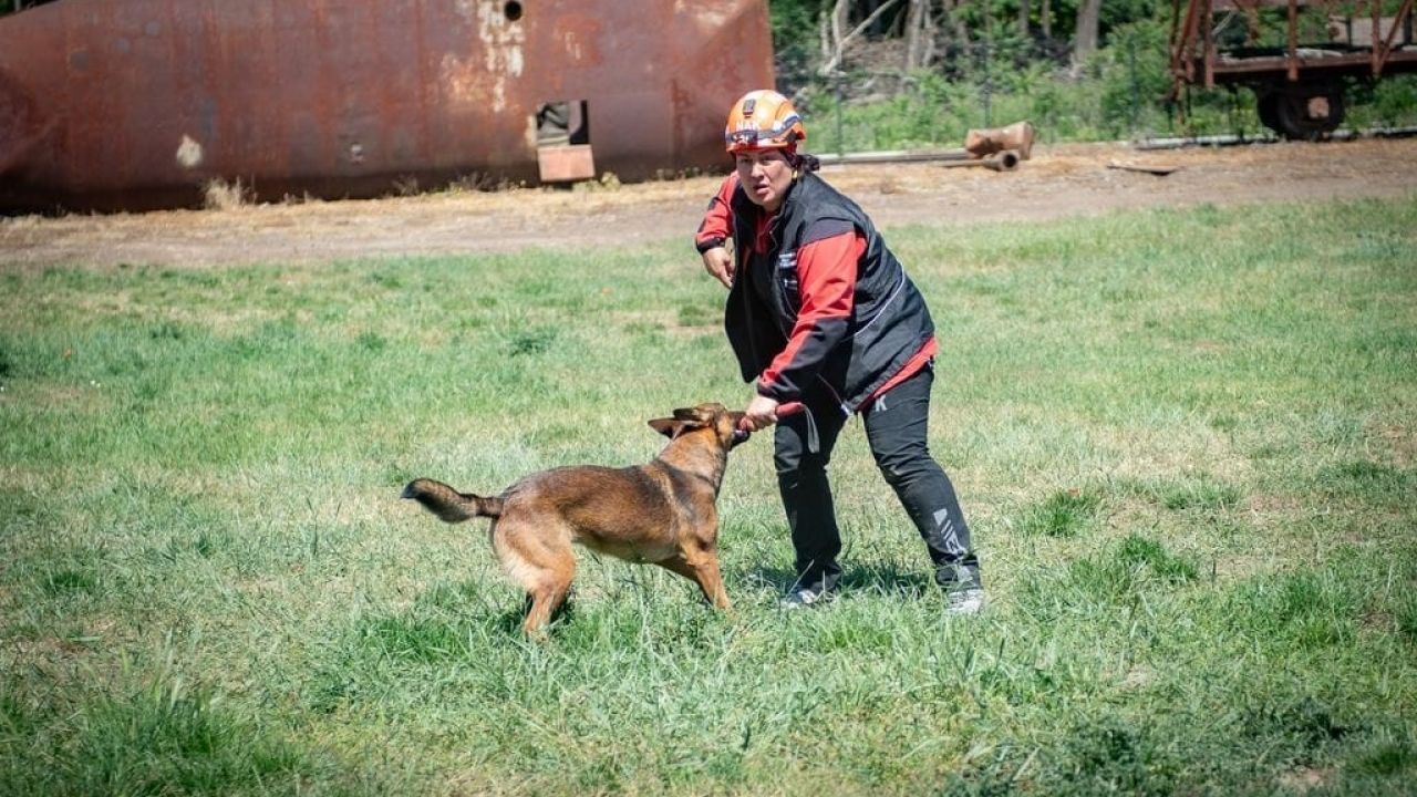 Muğla NAK Arama Kurtarma Köpekleri Macaristan’da sahaya indi
