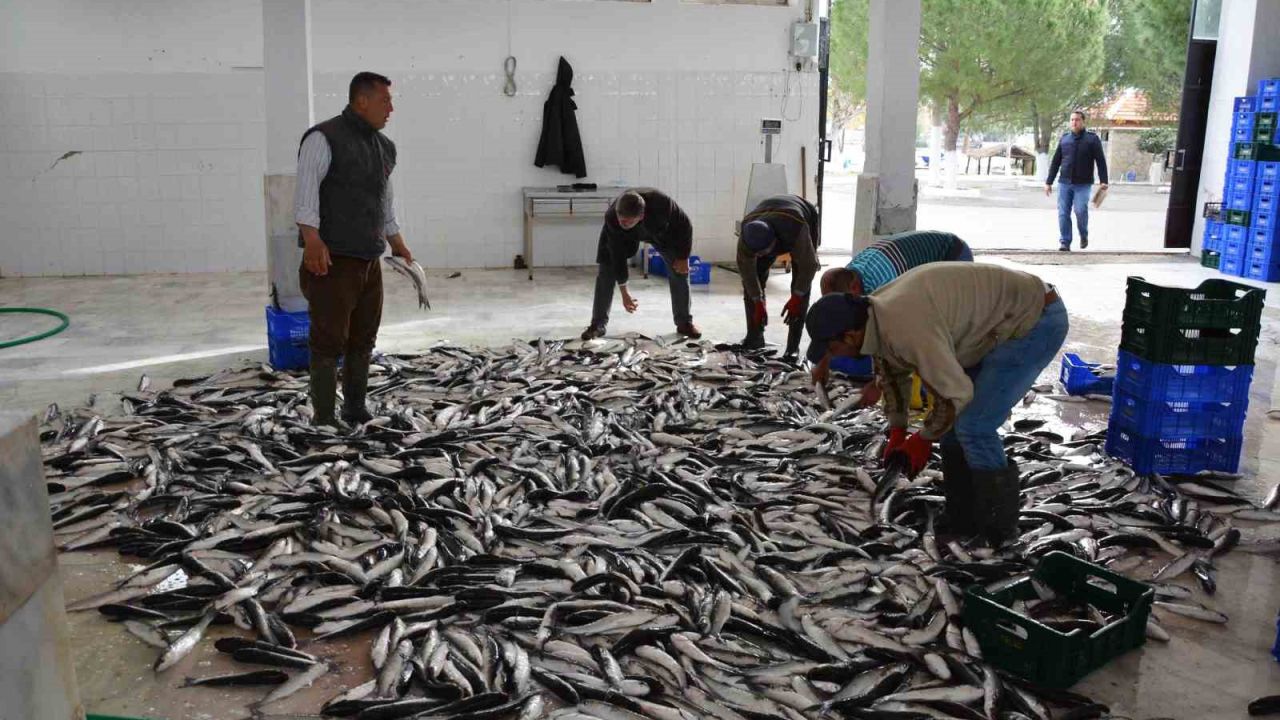 Muğla’nın Mayıs ayı ihracatı 107 milyon dolar