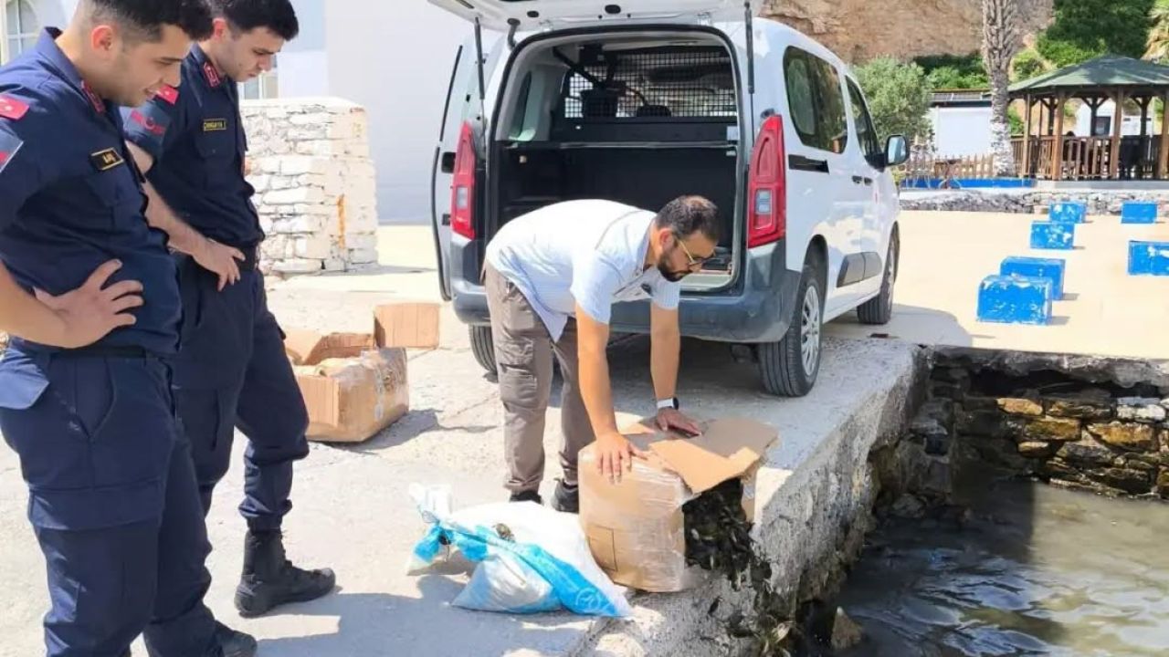 Söke’de kaçak su ürünleri nakline geçit verilmedi