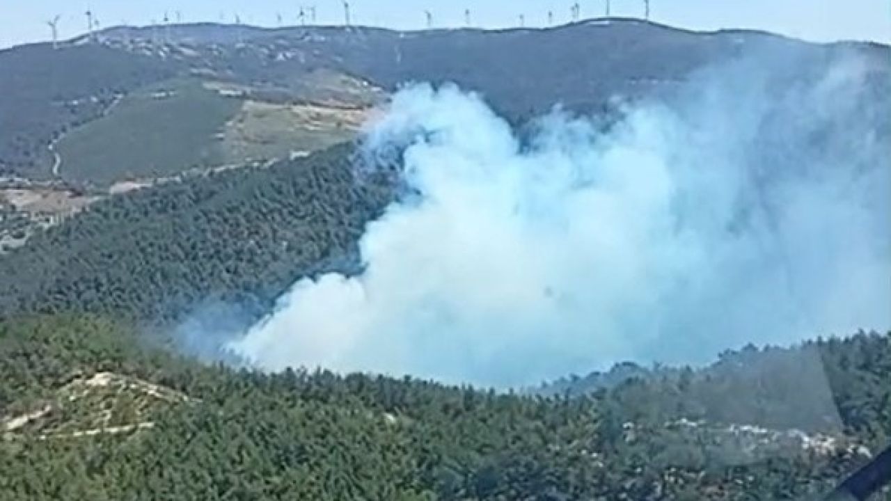 Soma’daki orman yangınına havadan ve karadan müdahale başladı