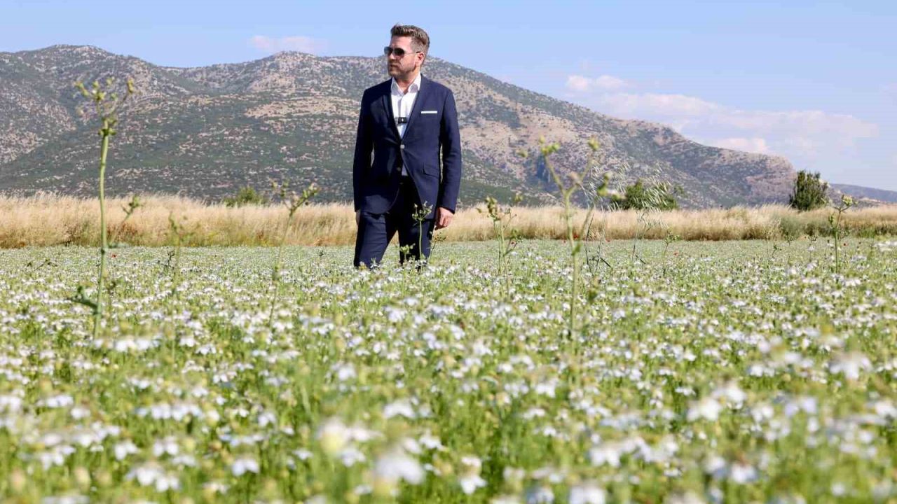 Tavas’ta karacaot ekiminde verimlilik testi yapılıyor