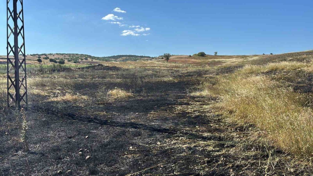 Tavşanlı’da hasat sırasında çıkan yangında 15 dönüm tarla kül oldu