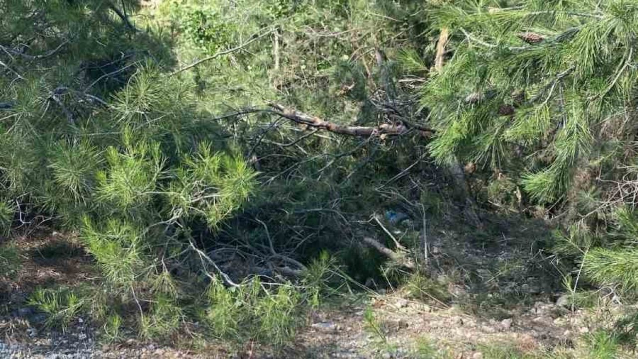 Uçuruma yuvarlanan traktör sürücüsü hayatını kaybetti