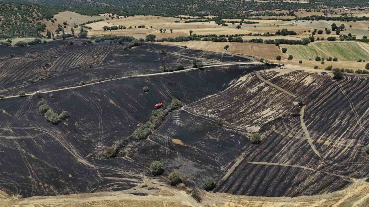 Uşak’ta çıkan yangında 300 dekar ekili alan zarar gördü