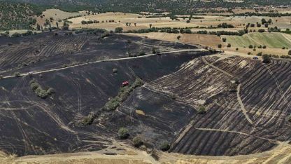 Uşak’ta çıkan yangında 300 dekar ekili alan zarar gördü