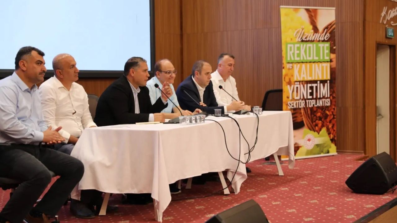 Üzümcünün gündemi rekolte, kalıntı ve fiyat