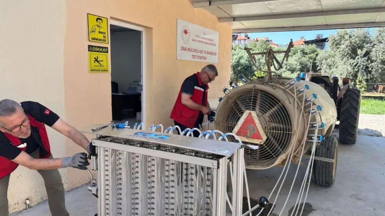 Üzümde kalıntı riskine karşı sıkı denetim