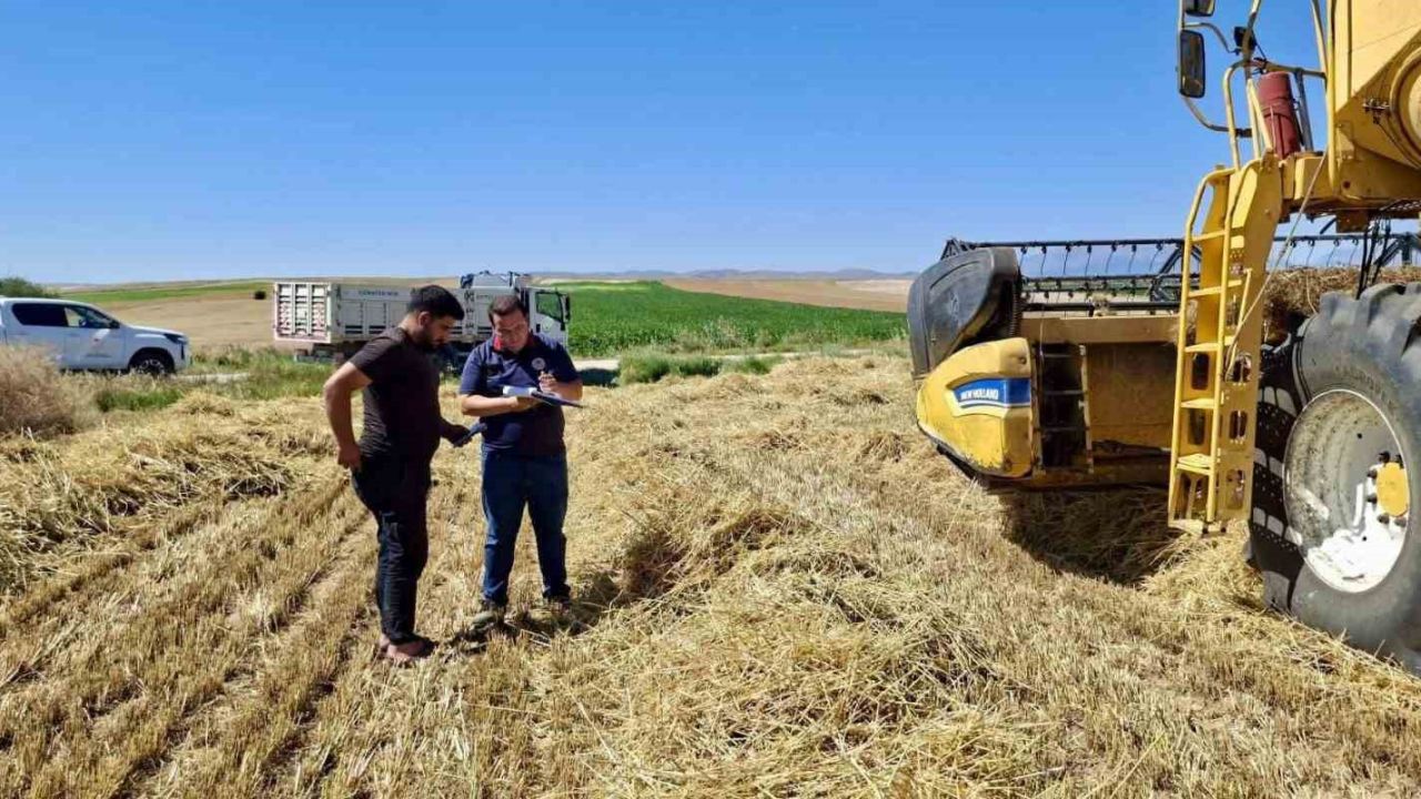 Afyonkarahisar’da hububat hasadı başladı