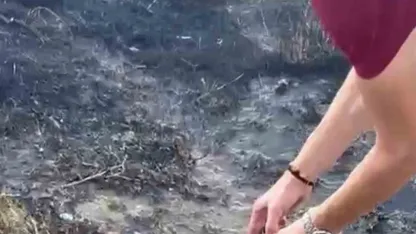 Alevlerin arasından kurtardıkları kaplumbağayı serinlettiler