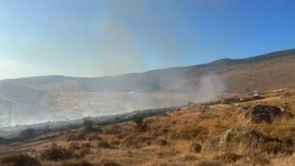 Aliağa’da otluk alanda yangın