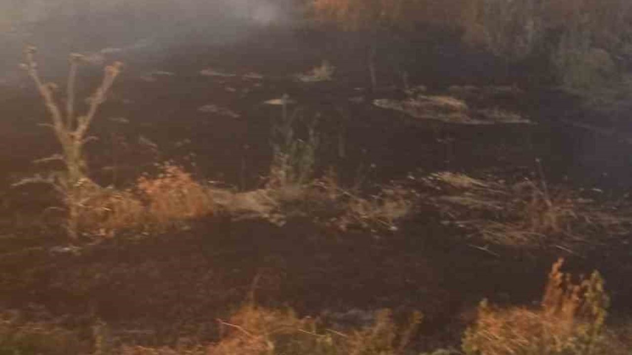 Anız yangını tarım arazileri ve ormanlık alana sıçramadan söndürüldü
