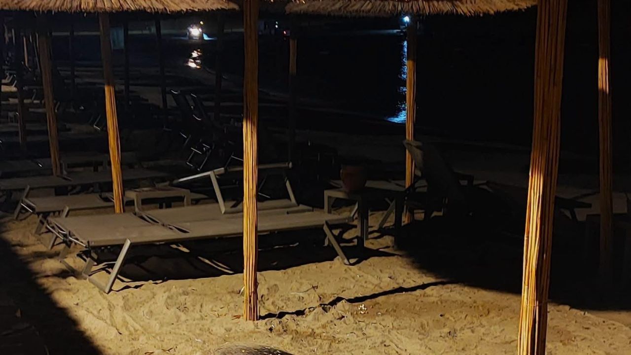 Aydın’ın Kuşadası ve Didim kıyılarında caretta hareketliliği