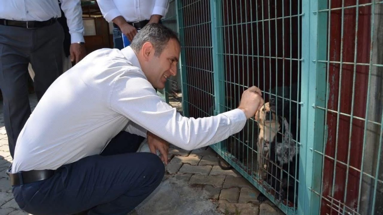 Bayındır’da hayvan bakım evi ve doğal yaşam alanında inceleme