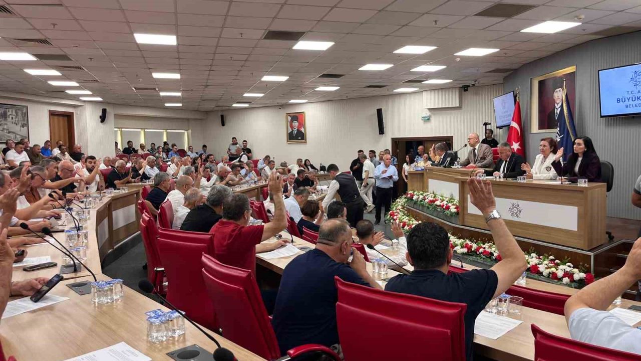 Büyükşehir Meclisi’ne ‘ilaçlama’ konusu damga vurdu