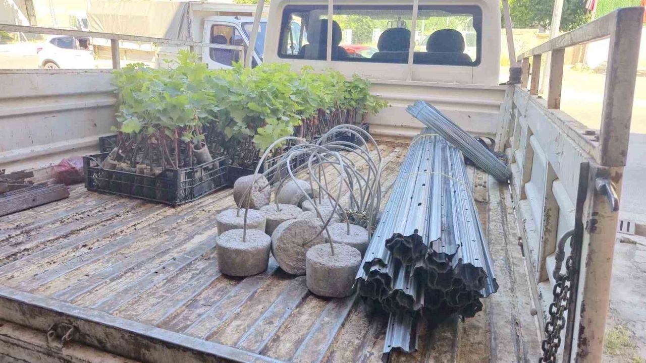 Dinar’da Bağcılık Projesi başladı