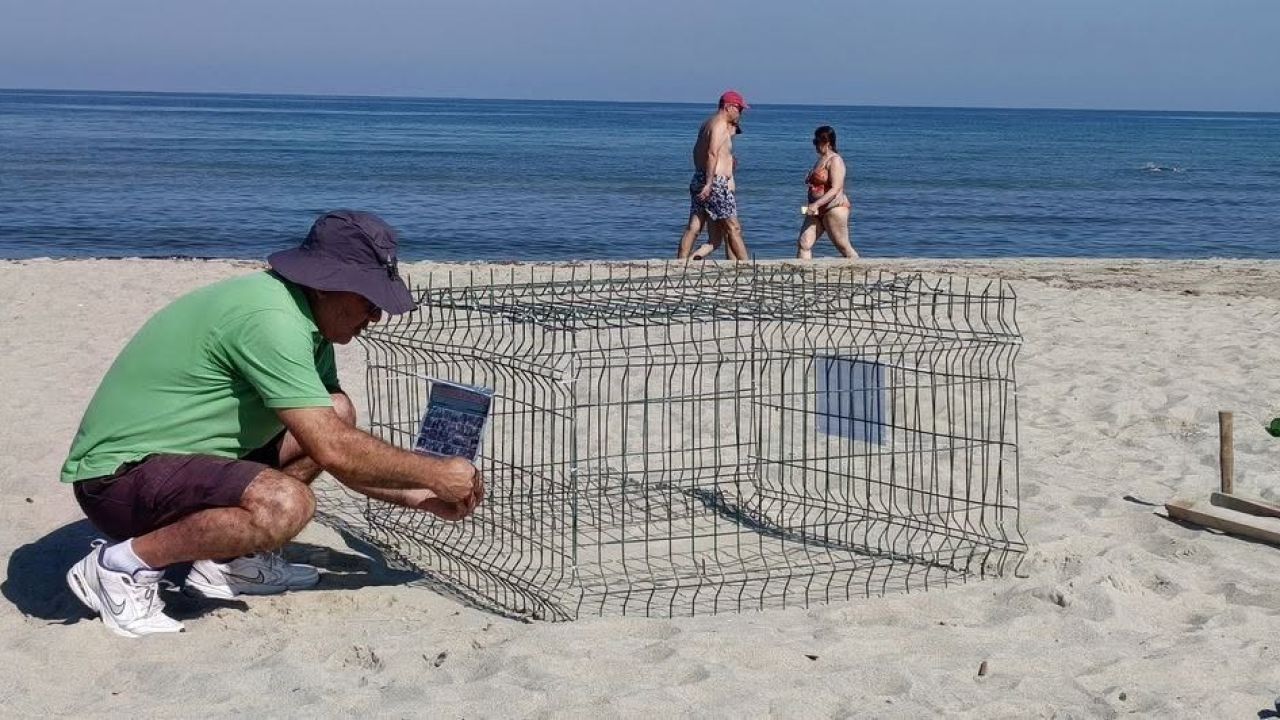 Duyarlı gençlerin ihbarı sayesinde, caretta yuvası koruma altına alındı